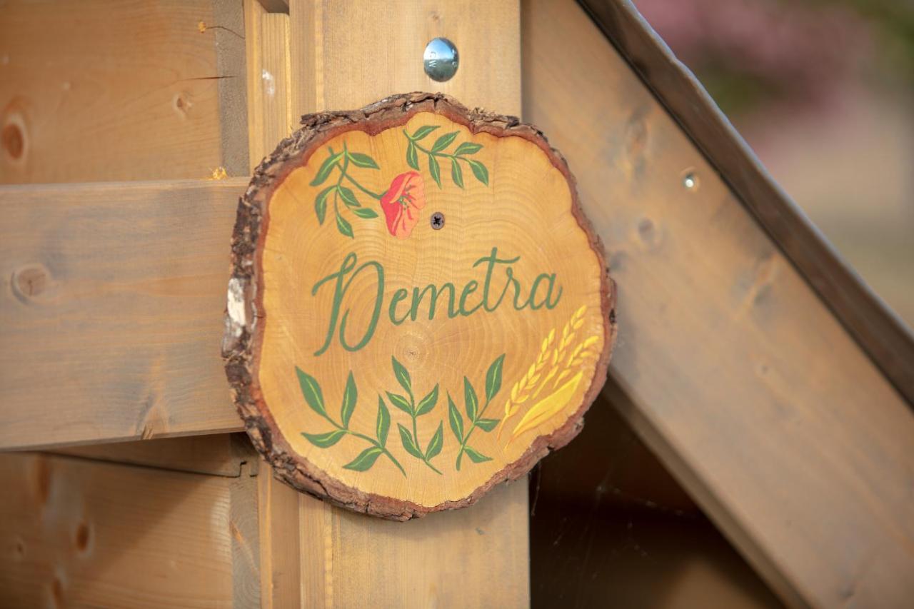 Glamping Debbiare Hotel Riparbella Ngoại thất bức ảnh